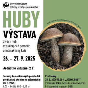 plagat vystava final.jpg